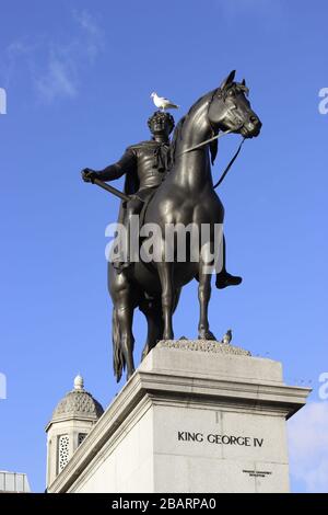 Statua di Re Giorgio IV in Trafalgar piazza Londra con un piccione bianco seduto sulla testa Foto Stock