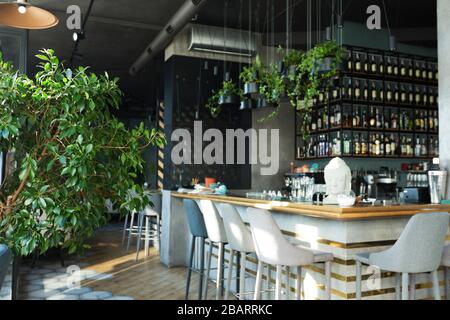 Lungo banco bar in legno con sgabelli da bar e piante verdi Foto Stock