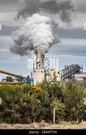 Industria pesante nelle Highlands scozzesi presso la fabbrica di legno di Norbord, uno dei più grandi produttori di pannelli OSB in Europa Foto Stock