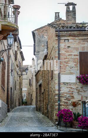 Per le strade di Torre di Palme, fermo, Marche, Italia. Tipica strada del borgo storico, uno dei più bei villaggi d'Italia. Foto Stock