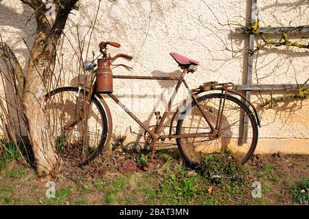 Vecchia bicicletta con latte può appoggiarsi contro un muro di casa, Baviera, Germania, Europa Foto Stock