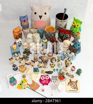 Collezione OWL. Materiali, forme, colori e dimensioni diversi. Souvenir dal mondo. Foto Stock