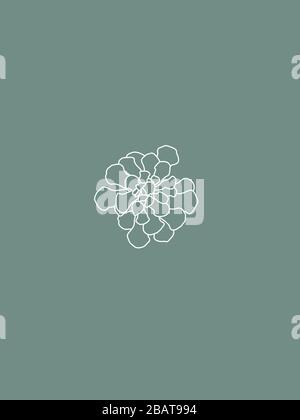 Moderna e minimalista Succulent Echeveria Vector Line Art in bianco e menta Illustrazione Vettoriale