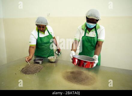 Sri Lanka, Monaragala, fabbrica di spezie, setacciatura di peperoni Foto Stock