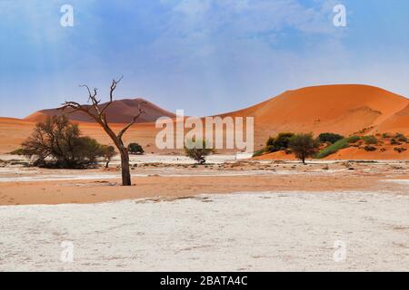 Sossusvlei (Namib-Naukluft Park) - Namibia Africa Foto Stock