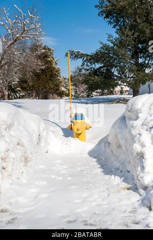 Idrante di fuoco nella neve Foto Stock