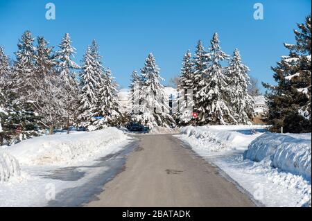 alberi suburbani coperti di neve Foto Stock