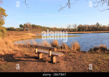 Hatertse en Overasseltse fens Foto Stock