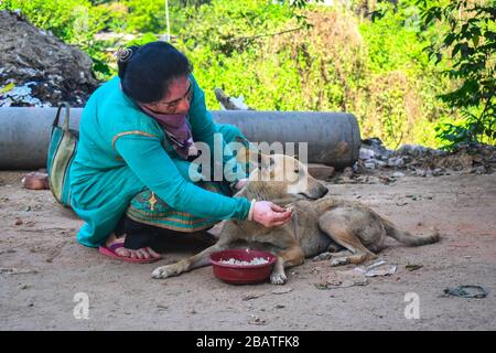 Kolkata, India. 29 marzo 2020. Juthika Dutta, un amante degli animali sta dando cibo ai cani da strada durante questo periodo di blocco (foto di Sudipta Das/Pacific Press) Credit: Pacific Press Agency/Alamy Live News Foto Stock