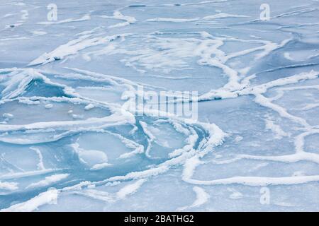 Vorticoso modelli di ghiaccio frittella sulla riva del mare al largo di Fogo Island, Terranova, Canada Foto Stock