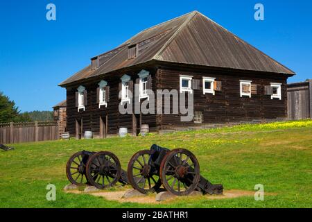 Kuskov House con cannone, Fort Ross state Historic Park, California Foto Stock