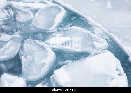 Modelli di ghiaccio frittella sull'acqua salata vicino all'isola di Fogo, Terranova, Canada Foto Stock