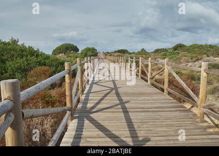 Passerella in legno, parco naturale di Cabopino, Marbella, Andalusia, Spagna. Foto Stock