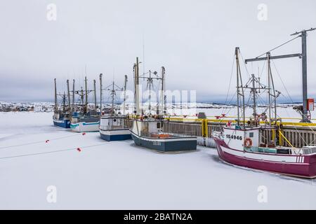 Barche da pesca ancorate nel porto di Fogo, catturate in ghiaccio in Terranova, Canada Foto Stock
