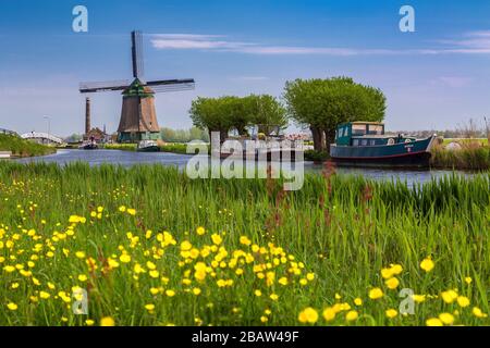 Il mulino a vento De Kaagmolen di fronte ad un canale e ad una barca (comune di OPmeer, Olanda del Nord, Paesi Bassi) Foto Stock
