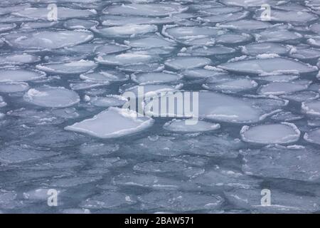 Modelli di ghiaccio frittella sull'acqua salata vicino all'isola di Fogo, Terranova, Canada Foto Stock