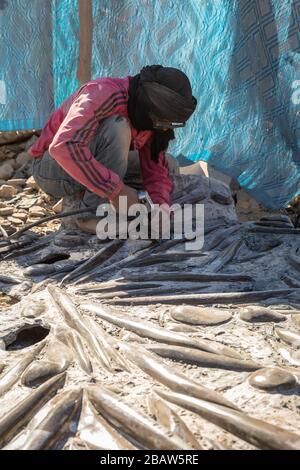 Un operaio che pulisce i fossili di ammoniti e calamari trovati a Erfoud, Marocco Foto Stock