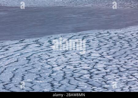 Modelli di ghiaccio frittella sull'acqua salata vicino all'isola di Fogo, Terranova, Canada Foto Stock