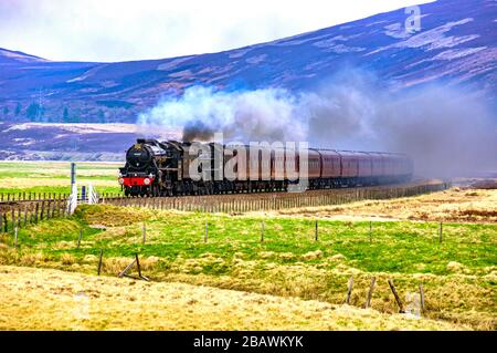 Collettore doppio nero con cinque motori a vapore 45407 Il Lancashire Fusillier e 44871 dirigendosi verso Dalwhinnie sull'altopiano linea principale in Scozia Foto Stock