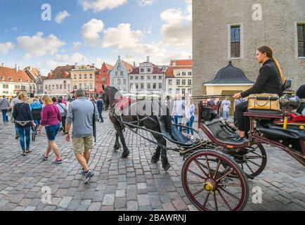 Una carrozza trainata da cavalli e un pilota per un giro a noleggio nella Piazza della Città Vecchia in una giornata intensa con i turisti che si godono i caffe' medievali e i negozi dell'Estonia di Tallinn. Foto Stock