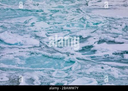 Modelli di ghiaccio frittella sull'acqua salata vicino all'isola di Fogo, Terranova, Canada Foto Stock