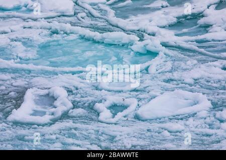 Modelli di ghiaccio frittella sull'acqua salata vicino all'isola di Fogo, Terranova, Canada Foto Stock