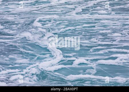 Modelli di ghiaccio frittella sull'acqua salata vicino all'isola di Fogo, Terranova, Canada Foto Stock