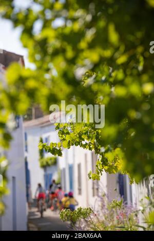 Noirmoutier en Ille, Vandea, Francia Foto Stock