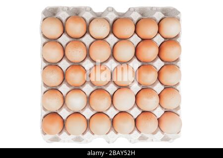 Uova biologiche in una scatola d'uovo isolato su sfondo bianco. Polli uova da aree ecologicamente pulite. Vista dall'alto. Foto Stock