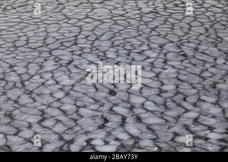 Modelli di ghiaccio frittella sull'acqua salata vicino all'isola di Fogo, Terranova, Canada Foto Stock