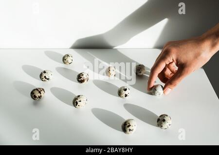 Donna mano prendere un uovo di quaglia da mucchio di altri su sfondo bianco. Scelta giusta. Concetto di pasqua insolito. Foto Stock