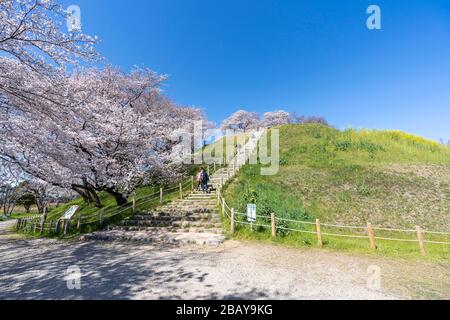 Maruyama kofun, Sakitama antica tomba parco, città di Gyoda, Prefettura di Saitama, Giappone Foto Stock