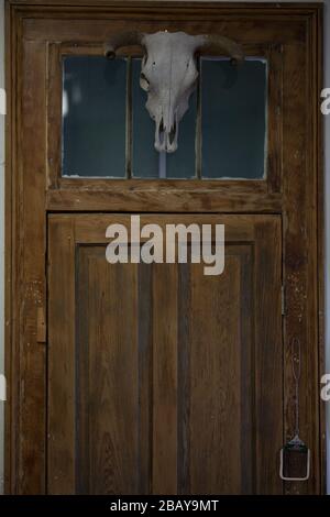 Scatto verticale di un cranio di capra appeso su un vecchio Porta in legno a New Orleans Foto Stock