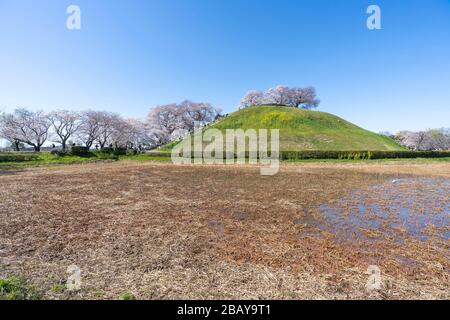 Maruyama kofun, Sakitama antica tomba parco, città di Gyoda, Prefettura di Saitama, Giappone Foto Stock