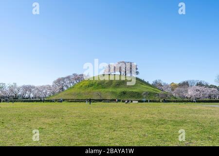 Maruyama kofun, Sakitama antica tomba parco, città di Gyoda, Prefettura di Saitama, Giappone Foto Stock