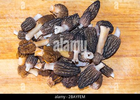 Porcini neri commestibili sulla tavola di legno Foto Stock