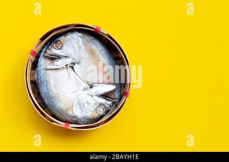 Sgombro corto nel cesto di pesce. Vista dall'alto Foto Stock