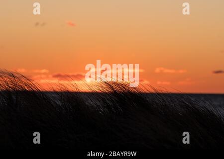 Dierhagen, Germania. 29th Mar, 2020. Dierhagen - Ost, Germania Marzo 2020 Ostseestrand - Maerz - 2020 Dune/Duene/Abendrot/Sunset | usage worldwide Credit: dpa/Alamy Live News Foto Stock