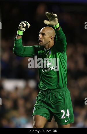 Tim Howard, portiere di Everton, festeggia dopo che il suo compagno di squadra Leighton Baines (non in foto) ha ottenuto il suo obiettivo di apertura Foto Stock