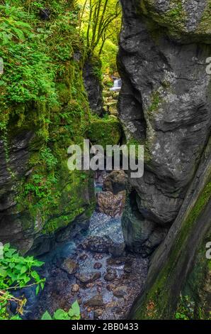 Famosa pietra di Bear Head nel Tolmin Gorges Park. La valle di Soca in Slovenia - popolare attrazione turistica Foto Stock