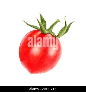 Acquerello di pomodoro di ciliegio isolato su sfondo bianco Foto Stock