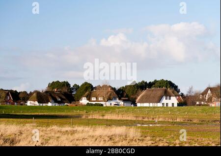 Tetto di Paglia casa su Amrum in Germania Foto Stock