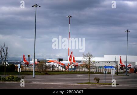 Gli aerei easyJet siedono sul tarmac all'Aeroporto John Lennon di Liverpool, dopo che la compagnia aerea ha annunciato che ha messo a terra la sua intera flotta di 344 aerei a causa della pandemia di coronavirus. Foto Stock