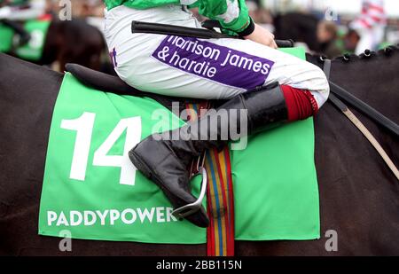 Dettaglio del marchio Harrison James e Hardie su Jockey Sam Twiston-Davies in sella al Tour Des Champs nel gruppo Murphy Hanicap Foto Stock