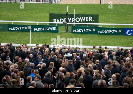 Vista generale della segnaletica di Paddy Power all'ippodromo di Cheltenham Foto Stock