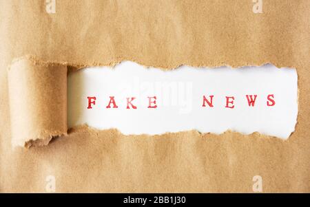 Parole Fake News scritto sotto carta strappata. Disposizione piatta, vista dall'alto. Foto Stock