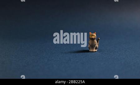 Carino gatto miniatura ancora vita foto Foto Stock