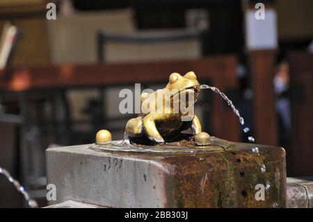 Le rane dorate sulla Fontana del Raftsman. Torun, Voivodato di Kuyavian-Pomeranian, Polonia. Foto Stock