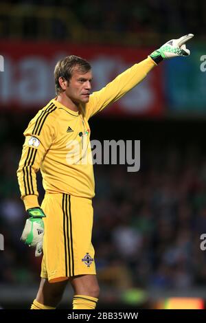 Il portiere dell'Irlanda del Nord Roy Carroll Foto Stock