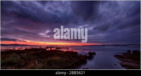 Estuario di Loughor Foto Stock